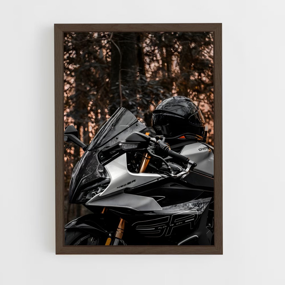 Poster Ride of Legends – affiche Sherco (vue 5)